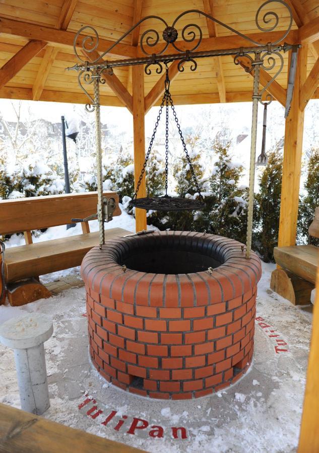 Dom Tulipan Villa Криница-Здруй Екстериор снимка